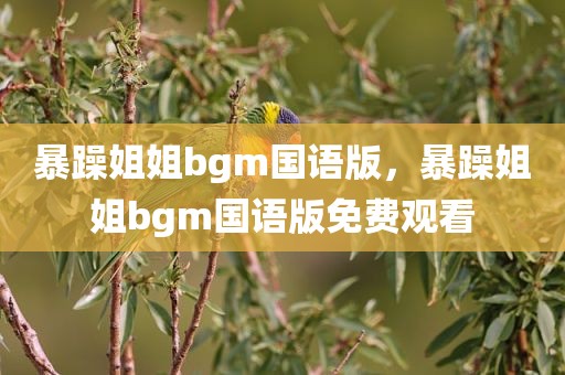 暴躁姐姐bgm国语版，暴躁姐姐bgm国语版免费观看