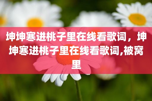 坤坤寒进桃子里在线看歌词，坤坤寒进桃子里在线看歌词,被窝里