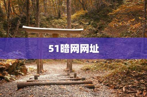 51暗网网址