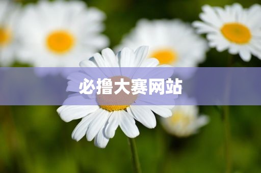 必撸大赛网站