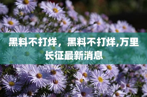 黑料不打烊，黑料不打烊,万里长征最新消息