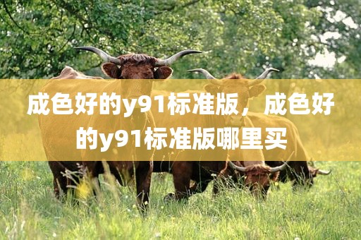 成色好的y91标准版，成色好的y91标准版哪里买