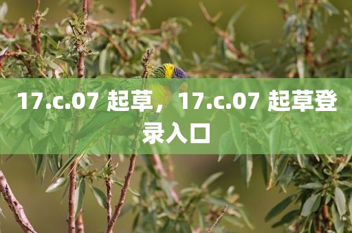17.c.07 起草，17.c.07 起草登录入口
