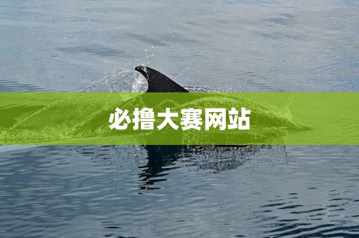 必撸大赛网站