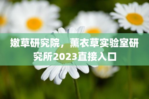 嫩草研究院，薰衣草实验室研究所2023直接入口