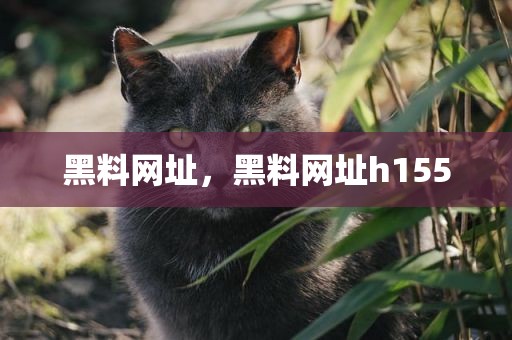 黑料网址，黑料网址h155