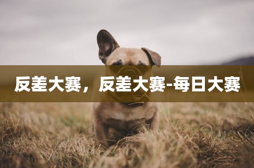 反差大赛，反差大赛-每日大赛