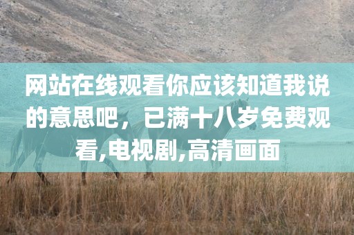 网站在线观看你应该知道我说的意思吧，已满十八岁免费观看,电视剧,高清画面