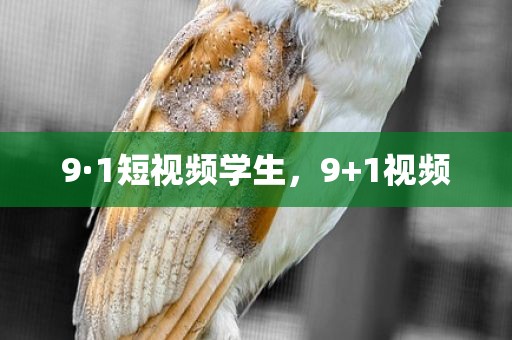 9·1短视频学生，9+1视频