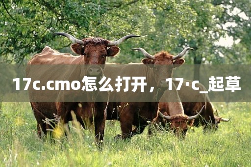 17c.cmo怎么打开，17·c_起草