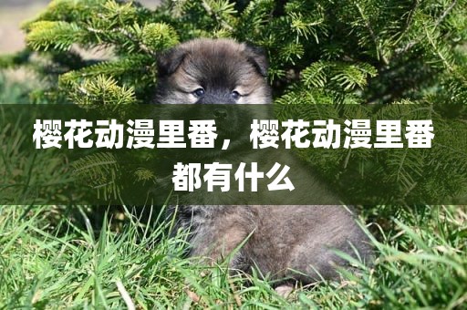 樱花动漫里番，樱花动漫里番都有什么