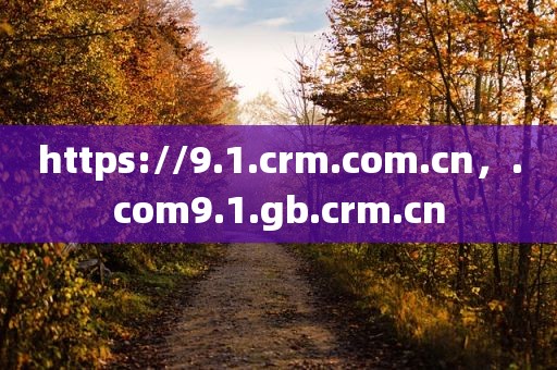 https://9.1.crm.com.cn，.com9.1.gb.crm.cn