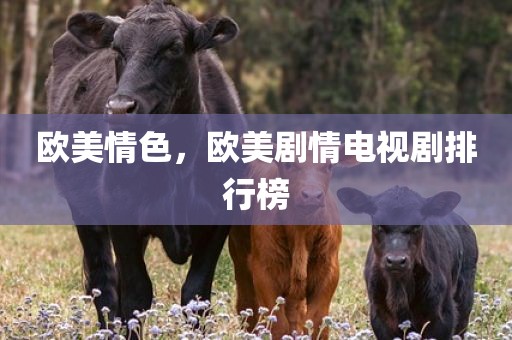 欧美情色，欧美剧情电视剧排行榜