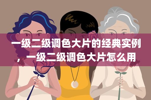 一级二级调色大片的经典实例，一级二级调色大片怎么用