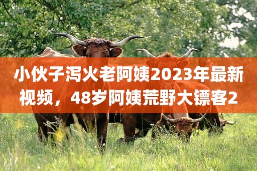 小伙子泻火老阿姨2023年最新视频，48岁阿姨荒野大镖客2