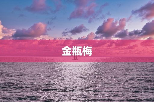 金瓶梅
