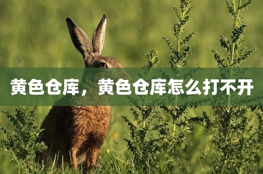 黄色仓库，黄色仓库怎么打不开
