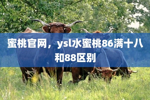 蜜桃官网，ysl水蜜桃86满十八和88区别