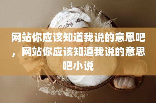 网站你应该知道我说的意思吧，网站你应该知道我说的意思吧小说