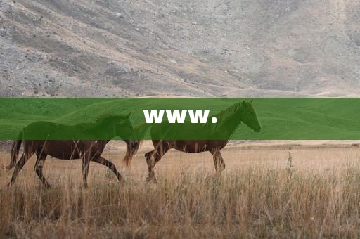 www.