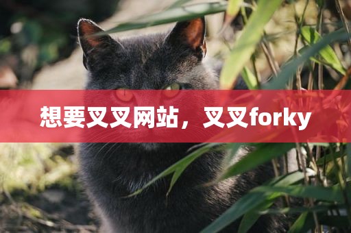想要叉叉网站，叉叉forky