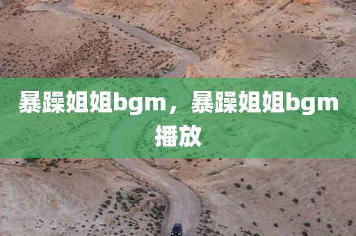 暴躁姐姐bgm，暴躁姐姐bgm播放