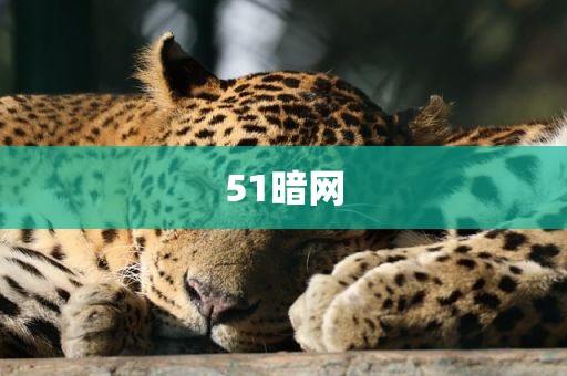 51暗网