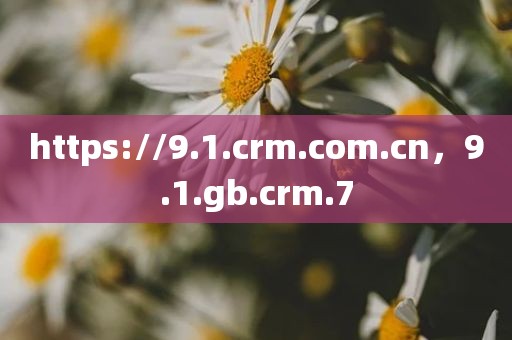 https://9.1.crm.com.cn，9.1.gb.crm.7