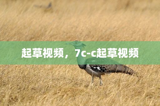 起草视频，7c-c起草视频