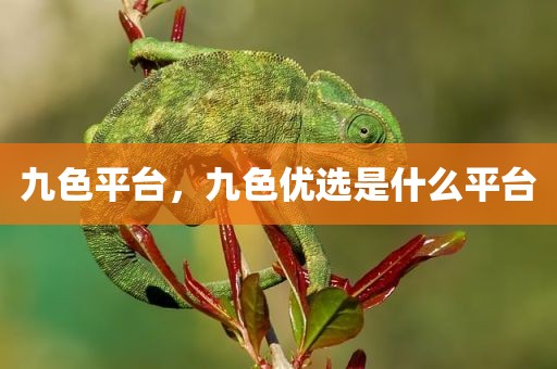 九色平台，九色优选是什么平台