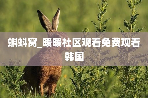 蝌蚪窝_暖暖社区观看免费观看韩国