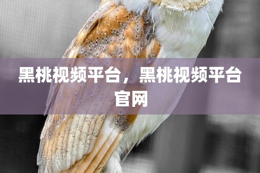 黑桃视频平台，黑桃视频平台官网