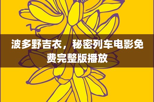 波多野吉衣，秘密列车电影免费完整版播放