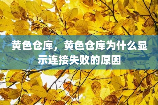 黄色仓库，黄色仓库为什么显示连接失败的原因
