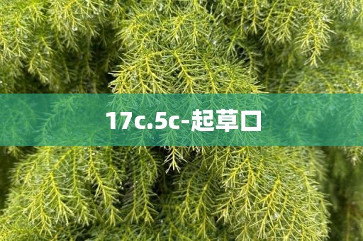 17c.5c-起草口