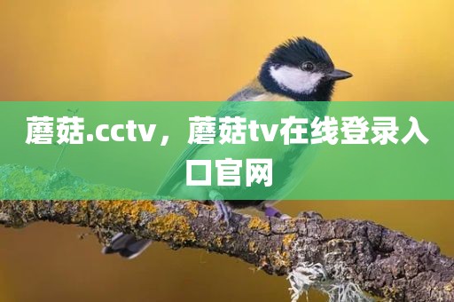 蘑菇.cctv，蘑菇tv在线登录入口官网