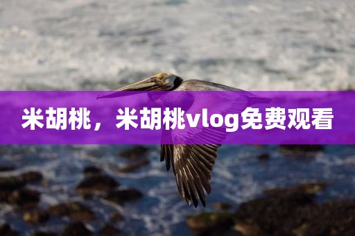 米胡桃，米胡桃vlog免费观看