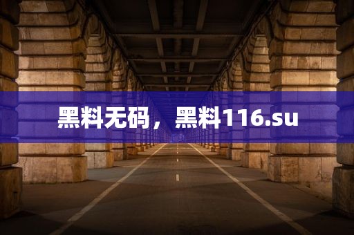 黑料无码，黑料116.su