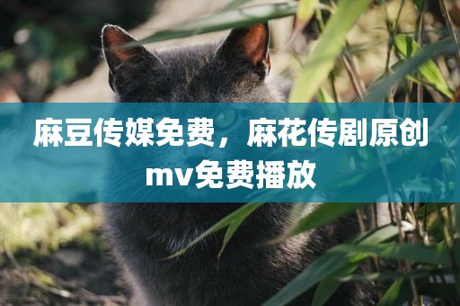 麻豆传媒免费，麻花传剧原创mv免费播放