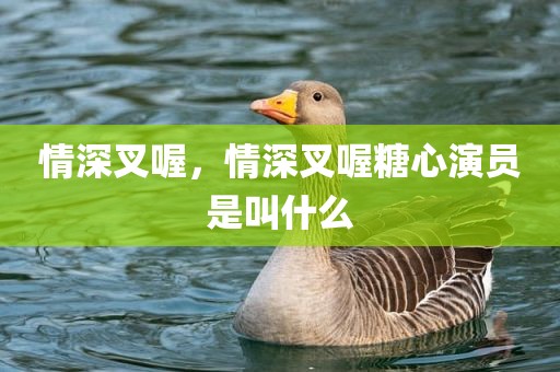 情深叉喔，情深叉喔糖心演员是叫什么