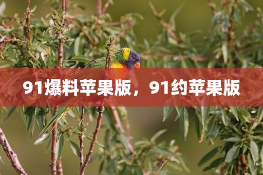 91爆料苹果版，91约苹果版