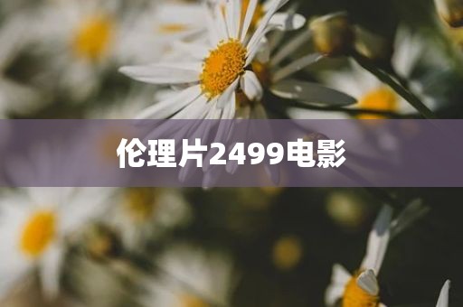 伦理片2499电影