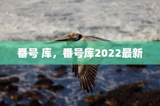 番号 库，番号库2022最新