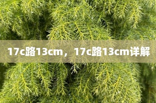 17c路13cm，17c路13cm详解
