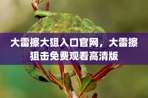 大雷擦大狙入口官网，大雷擦狙击免费观看高清版