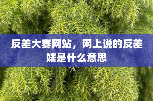反差大赛网站，网上说的反差婊是什么意思