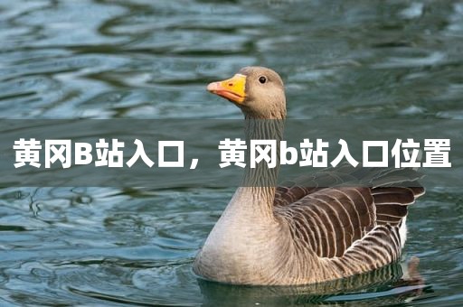 黄冈B站入口，黄冈b站入口位置