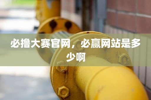 必撸大赛官网，必赢网站是多少啊