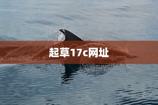 起草17c网址