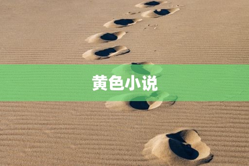 黄色小说